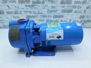 NEW Goulds GT203 Irri-gator Self Priming End Suction Pump, 2 HP, 3450 RPM, 230V